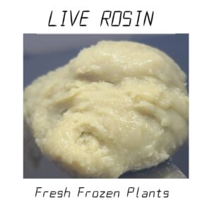 Buy live rosin online