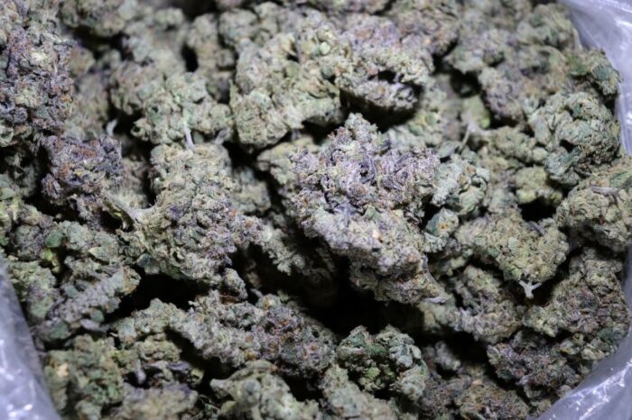 Grape Ape Weed Strain