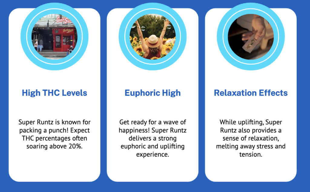 Potency and Effects of Super Runtz Weed Strain