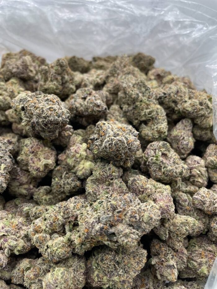 Snoop Dogg OG