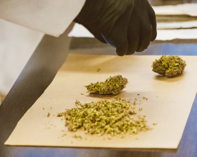 Mastering the Art of Advanced Extraction Solutions