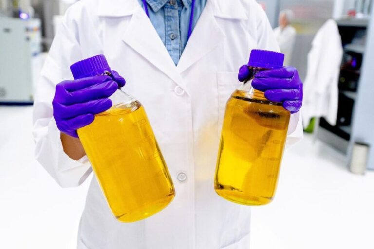 California Dreamin’: A Comprehensive Guide to Cannabis Extraction