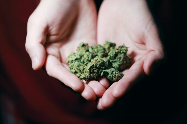 Snoop Dogg OG: A High Note in Cannabis Strains