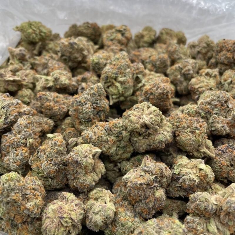 thca bulk pounds indoor